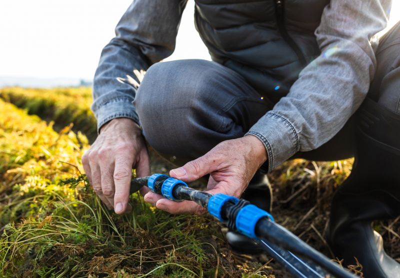 Seasonal Considerations