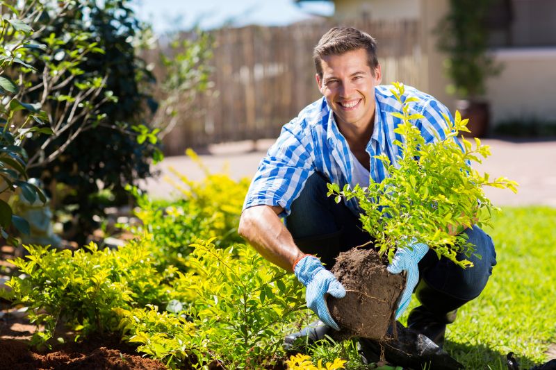 Landscaping and Garden Services